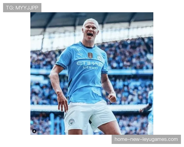 哈兰德挑战历史,能否成为新一代传奇?,哈兰 哈兰德 哈兰德挑战历史,能否成为新一代传奇?,哈兰 哈兰德